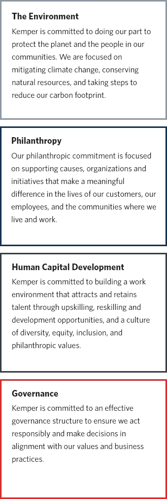 Environment Philanthropy Human Capital Development Governance Details